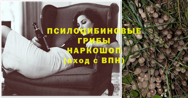прущие крисы Валдай