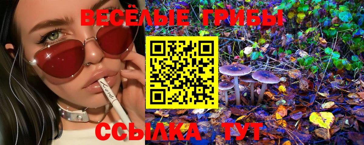 Псилоцибиновые грибы Cubensis  Галлюциногенные грибы Magic Shrooms  Вход с VPN  Темрюк 