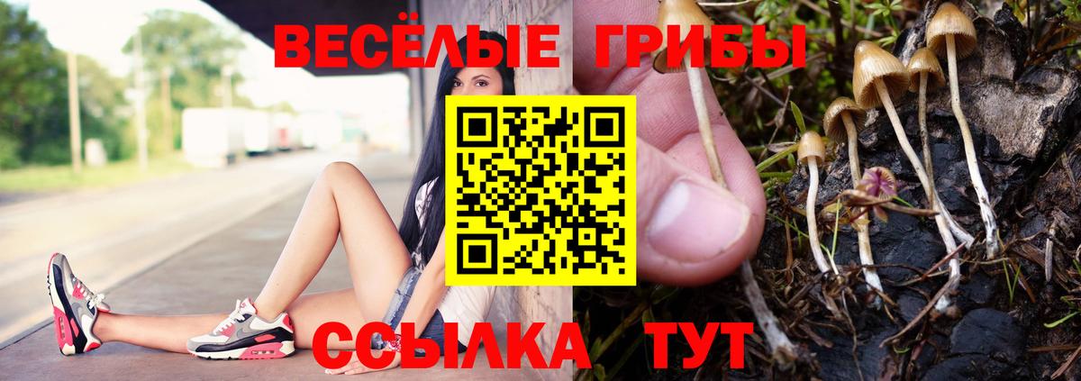 Псилоцибиновые грибы MAGIC MUSHROOMS  Темрюк 